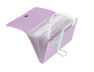 Opakowanie Teczka A4 PP rozkładana 12 części pastell