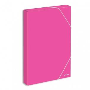 Opakowanie Teczka Box A4 School AMBAR