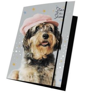 Opakowanie Teczka z gumką A4 Rachael Hale 15 sztuk