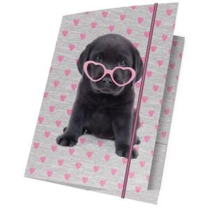 Opakowanie Teczka z gumką A4 Studio Pets 15 sztuk