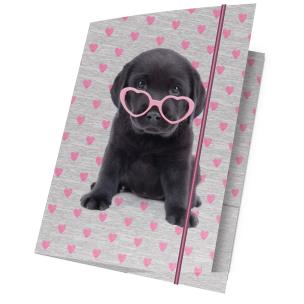 Opakowanie Teczka z gumką A4 Studio Pets PTB-109 PASO