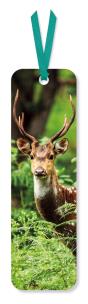 Opakowanie Zakładka do książki Chital Deer (opakowanie 2 sztuki)