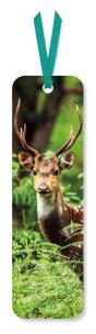 Opakowanie Zakładka do książki Chital Deer
