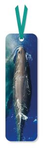 Opakowanie Zakładka do książki Sperm Whale (opakowanie 2 sztuki)