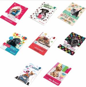 Opakowanie Zeszyt  A5 16k kratka Best Friend