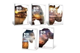 Opakowanie Brulion A5/96K kratka Big 5 (5szt)