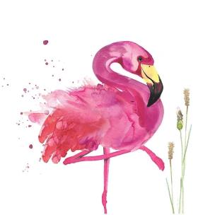 Opakowanie Karnet Swarovski kwadrat Flaming