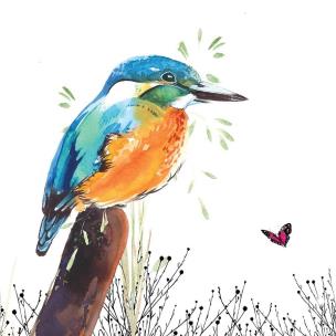 Opakowanie Karnet Swarovski kwadrat Zimorodek