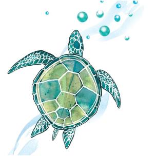 Opakowanie Karnet Swarovski kwadrat Żółw