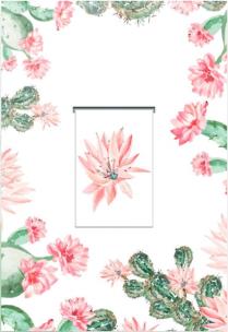 Opakowanie Karnet z zakładką magnetyczną 12x18 cm + koperta Kaktus