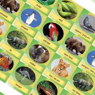 Opakowanie Memory Game - Animals (folia) REGIPIO