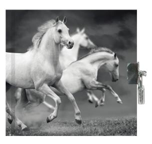 Opakowanie Pamiętnik z kłódką Horse PP19HS-3640 PASO