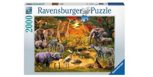 Opakowanie Puzzle 2000 Spotkanie dzikich zwierząt