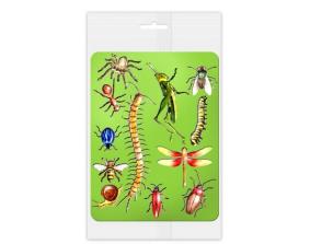 Opakowanie Szablony do obrysowania Owady