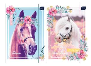 Opakowanie Teczka z gumką A4 + LUX UV Pony (10szt)
