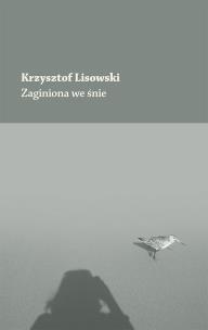 Okładka książki Zaginiona we śnie