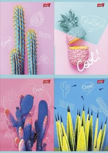 Opakowanie Zeszyt A5 w kratkę 60 kartek Cacti 10 sztuk mix