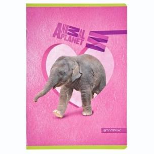 Opakowanie Zeszyt A5/16K =  Animal Planet Cute