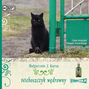 Okładka książki CD MP3 NIEBOSZCZYK WĘDROWNY