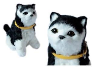 Opakowanie Interaktywny kotek czrno-biały