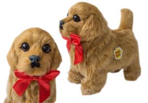 Opakowanie Interaktywny piesek chodzący - Golden