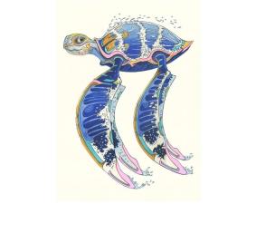 Opakowanie Karnet A117 B6 + koperta Żółw morski