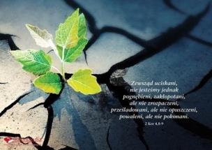 Opakowanie Kartka - Zewsząd uciskani, nie jesteśmy jednak...