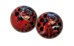 Opakowanie Piłka licencyjna Biedronka i Czarny Kot 2 23 cm