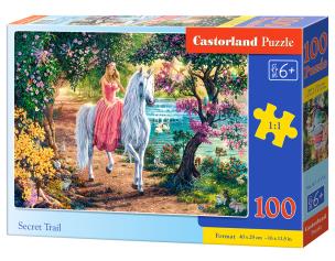 Opakowanie Puzzle 100 Secret Trail CASTOR