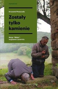 Okładka książki Zostały tylko kamienie DL