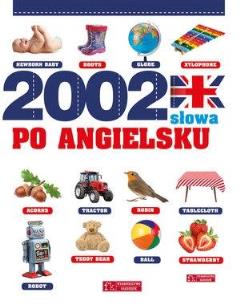 Okładka książki 2002 słowa po angielsku