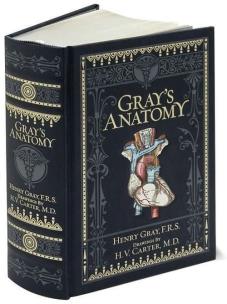 Opakowanie Gray's Anatomy: Barnes & Noble Collectible Editions