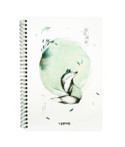 Opakowanie Kołonotes B5/68K Lis