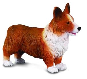 Opakowanie Pies Welsh corgi