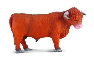 Opakowanie Szkocki byk górski