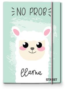 Opakowanie Teczka A4 z gumką Pink Street