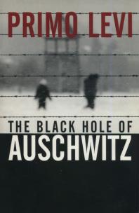 Okładka książki The Black Hole of Auschwitz