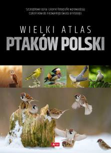 Okładka książki Wielki atlas ptaków Polski