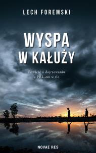Okładka książki Wyspa w kałuży