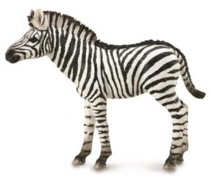 Opakowanie Zebra źrebię