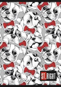 Opakowanie Zeszyt A5 w linie podwójną dwukolorową 32 kartki 15 sztuk