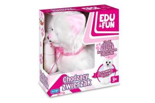 Opakowanie Chodzący biały Kotek Edu&Fun