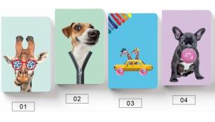 Opakowanie Notatnik A5/96K BG 812