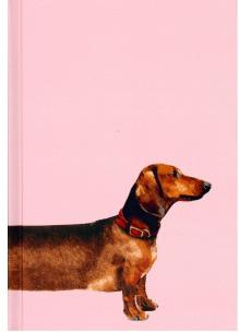 Opakowanie Notes Gee Overgrown linia NARCISSUS