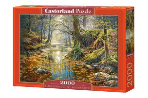 Puzzle 2000 Wspomnienie z jesiennego lasu CASTOR. Wydawca: Castorland. Multiszop.pl Opakowanie Puzzle 2000 Wspomnienie z jesiennego lasu CASTOR
