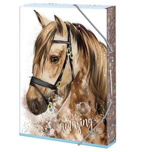 Opakowanie Teczka szkolna A4 You are amazing ARGUS