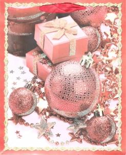 Opakowanie Torebka prezentowa BN 0187-04