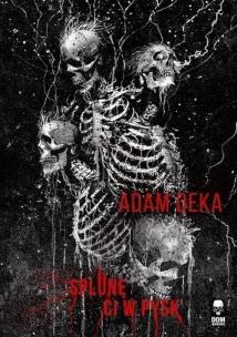 Okładka książki Splunę ci w pysk