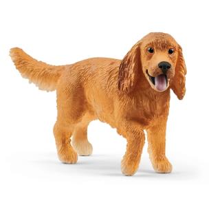 Opakowanie Angielski Cocker Spaniel