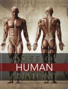 Opakowanie Atlas of Human Anatomy